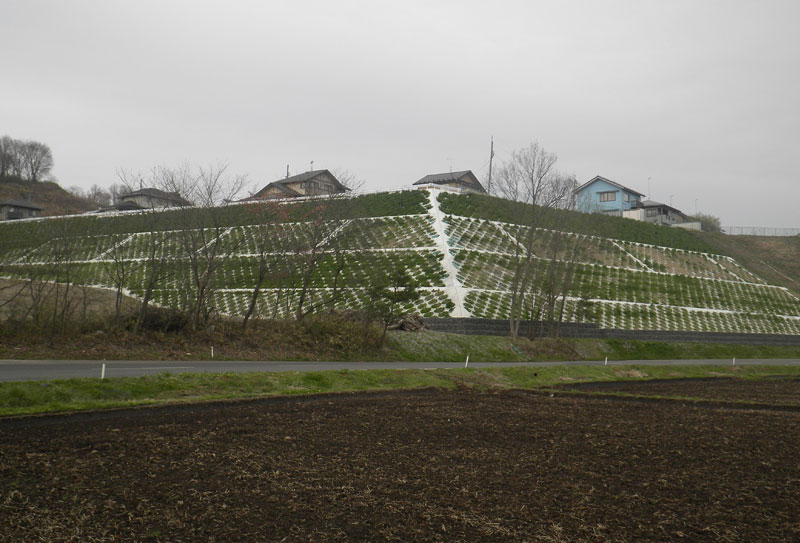 大規模法面工事